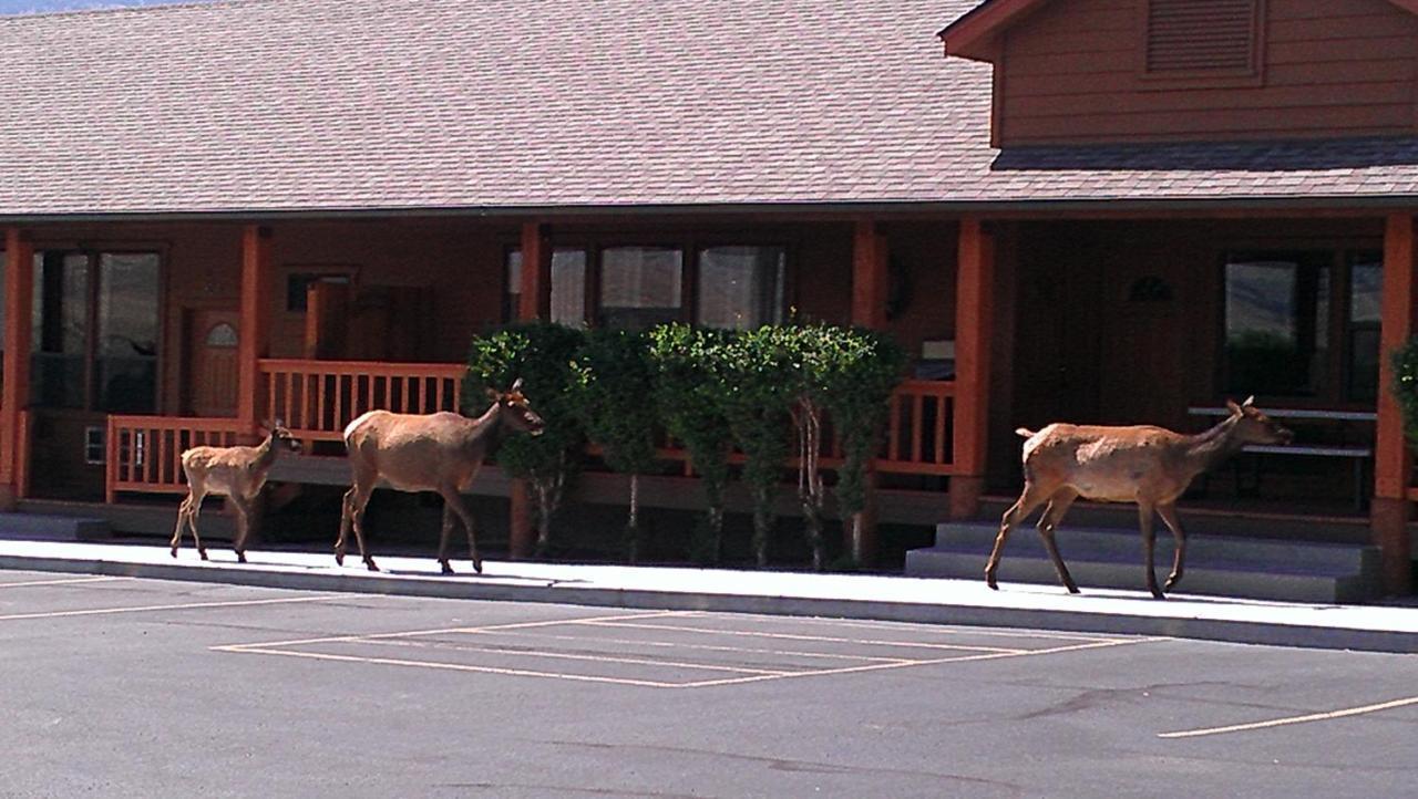 Yellowstone Village Inn And Suites Gardiner Exteriör bild